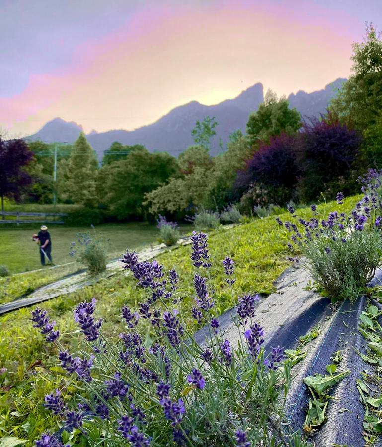 Casa Del Piol Fattoria Dei Fiori Apartment Sospirolo Bagian luar foto